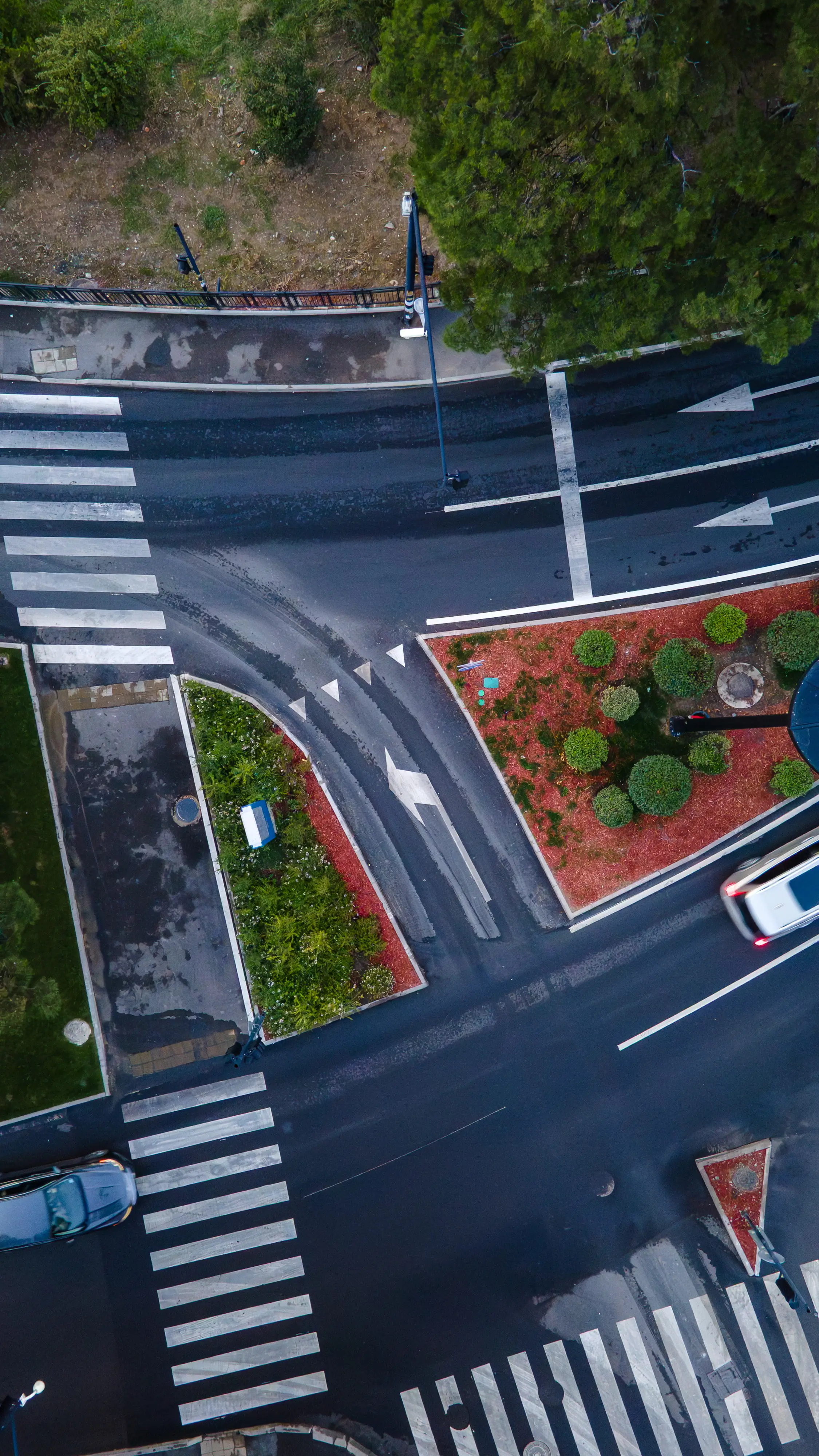 პროექტი ბაგები